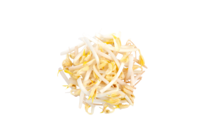 Mung Bean Sprouts English